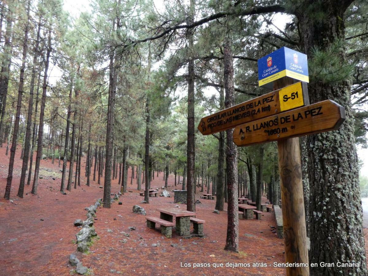 Canarias. Islas Afortunadas Las Palmas / Gran Canaria Exterior foto